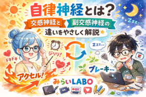 投稿についてもっと詳しく 自律神経とは？交感神経と副交感神経の違いをやさしく解説😊